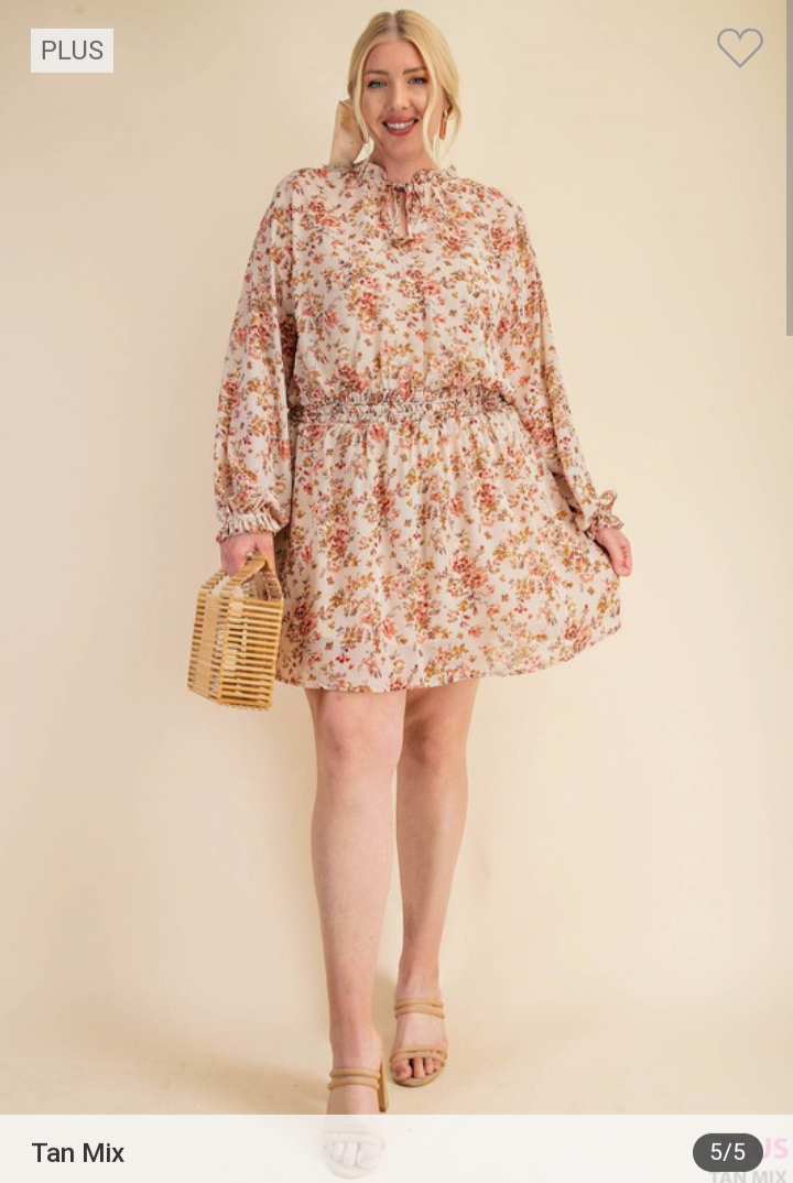 Cream and Floral Dress (XL-3X)